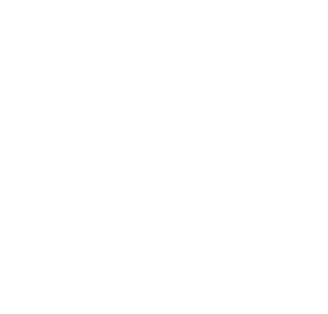 MIDGUARD Logo